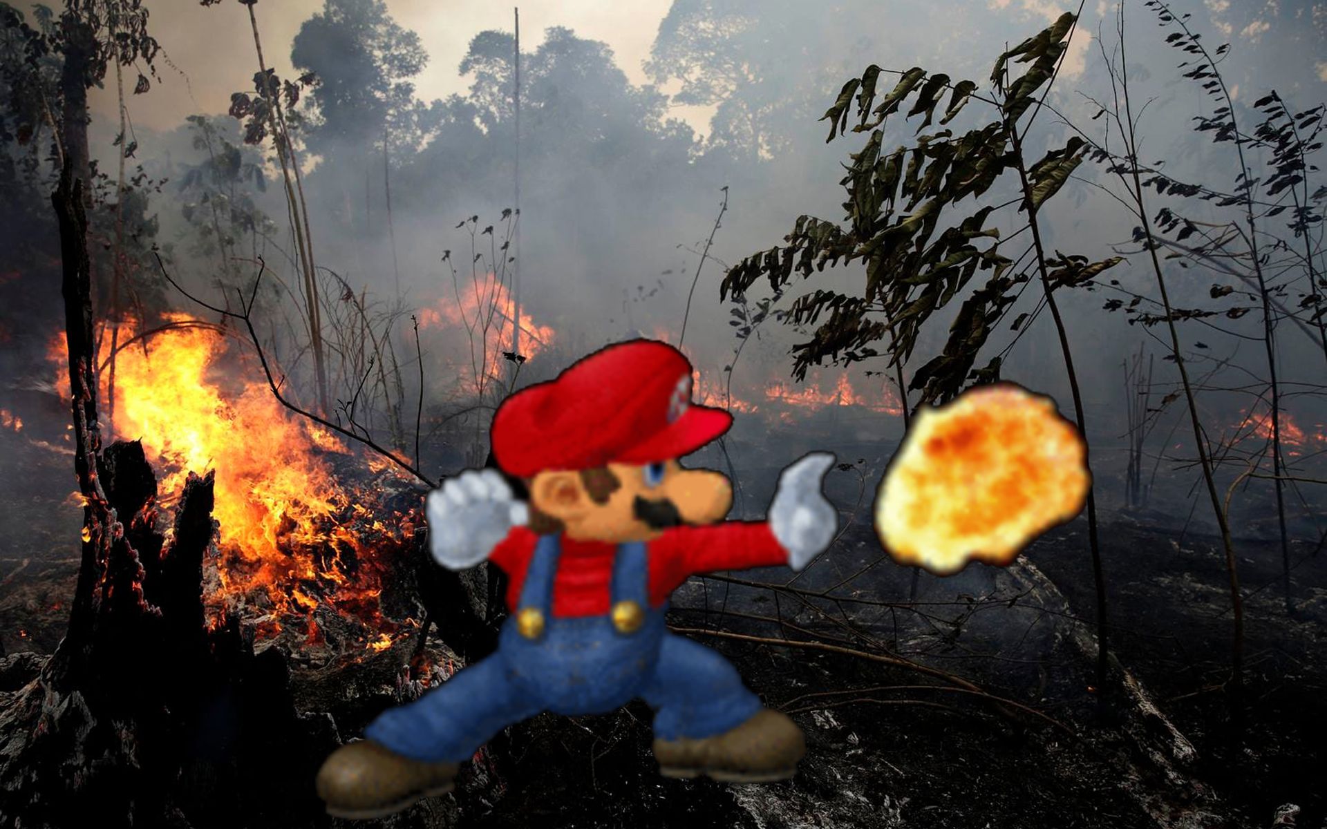 Super Mario: "So Long, Gay Amazon Rainforest!"